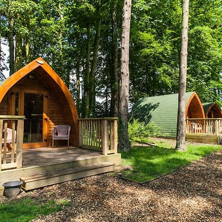 Pinewood - At Port Lympne Reserve Hythe  Exterior photo