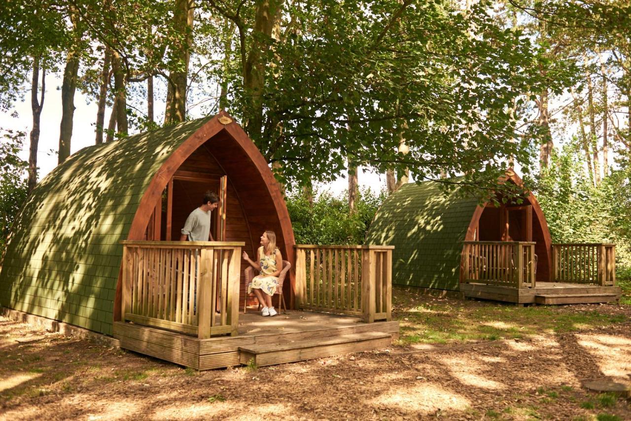 Pinewood - At Port Lympne Reserve Hythe  Exterior photo