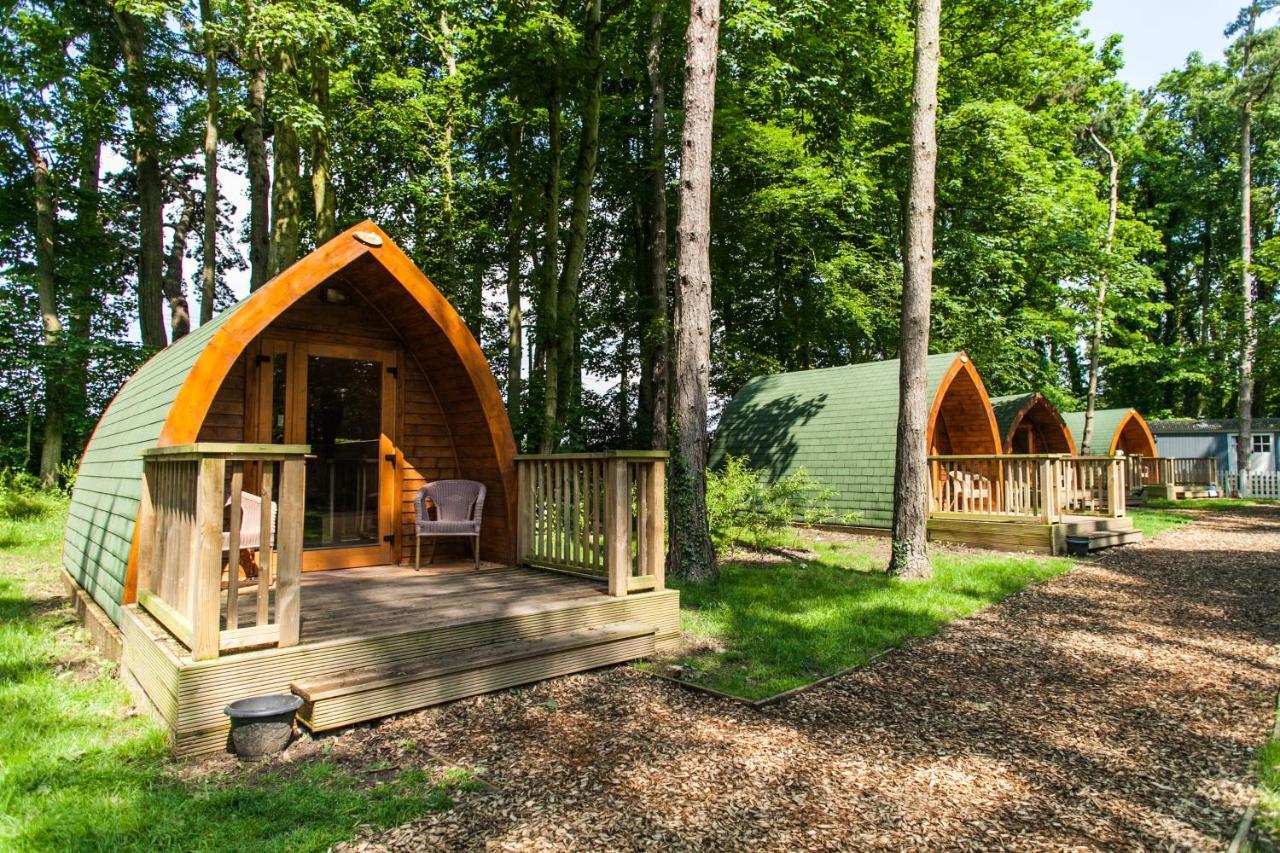 Pinewood - At Port Lympne Reserve Hythe  Exterior photo
